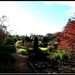 http://gardengrab.co.uk/post/66891637392
