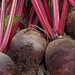 http://gardengrab.co.uk/post/66369302089