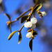 http://gardengrab.co.uk/post/70714759624