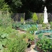 http://gardengrab.co.uk/post/55283173262