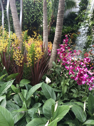 rhs-chelsea