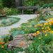 http://gardengrab.co.uk/post/45267483440