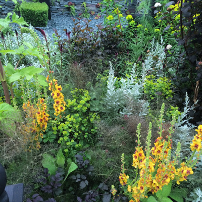 really-attractive-planting-at-rhs-chelsea-by-the