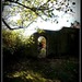 http://gardengrab.co.uk/post/66891109003
