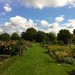 http://gardengrab.co.uk/post/65443336701