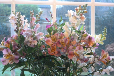 polytunnel-pickings