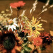 http://gardengrab.co.uk/post/58743841480