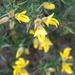 http://gardengrab.co.uk/post/43567176551