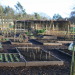 http://gardengrab.co.uk/post/42805022445