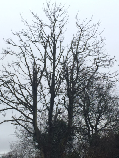 the-grey-of-the-day