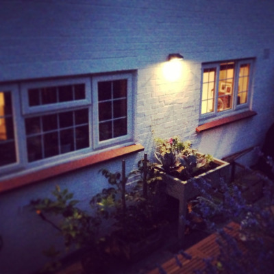 bulbs2go-our-patio-is-as-secret-as-secret-can-be