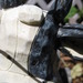 http://gardengrab.co.uk/post/55528447536