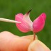 http://gardengrab.co.uk/post/52416690976
