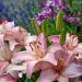 http://gardengrab.co.uk/post/54669617579