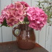 http://gardengrab.co.uk/post/60375541649