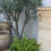http://gardengrab.co.uk/post/59345841713