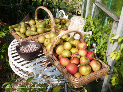 september-round-up-in-the-kitchen-garden
