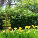 http://gardengrab.co.uk/post/44302334175