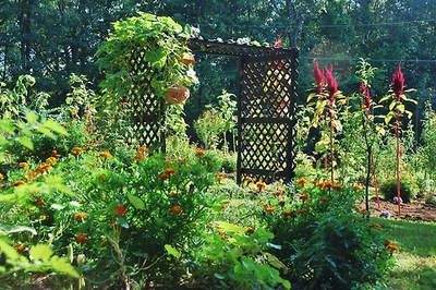 spy-garden-gets-glossy
