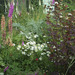 http://gardengrab.co.uk/post/44088285209