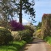 http://gardengrab.co.uk/post/70740054385
