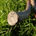 http://gardengrab.co.uk/post/67044921641