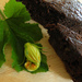 http://gardengrab.co.uk/post/57551241601