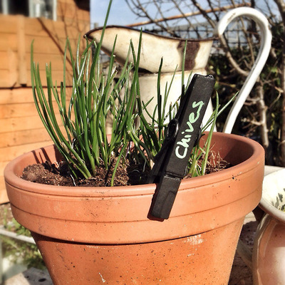 clothes-peg-plant-labels-an-easy-to-make