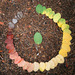 http://gardengrab.co.uk/post/65181018488
