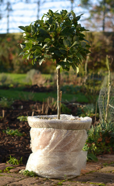 only-got-10-minutes-to-spare-for-gardening-you