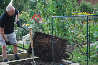 how-to-find-an-allotment-plot