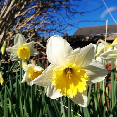 http-growourown-blogspot-co-uk-2014-03-three-day