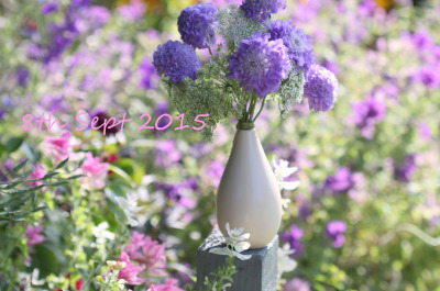 a-good-year-in-the-garden