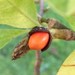 http://gardengrab.co.uk/post/66280411245