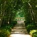 http://gardengrab.co.uk/post/59583332606