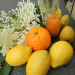 http://gardengrab.co.uk/post/52714672653