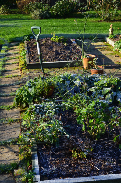 only-got-10-minutes-to-spare-for-gardening-you