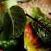 http://gardengrab.co.uk/post/71851771119