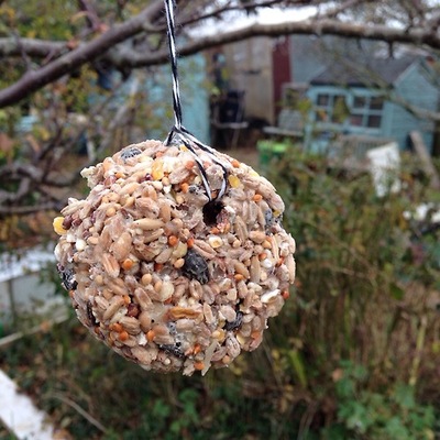 make-your-own-birdfeed-cakes