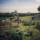 Allotments