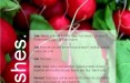 Radishes
