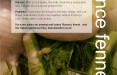 Florence fennel