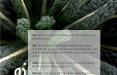 Kale