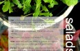 Salads