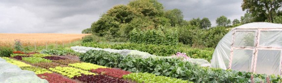 Six incredible kitchen gardens