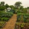 Why have an allotment?