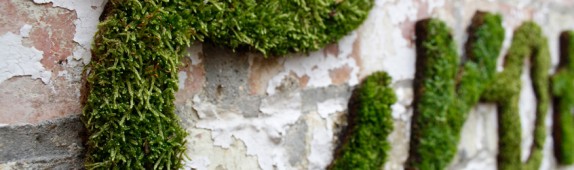 Moss graffiti