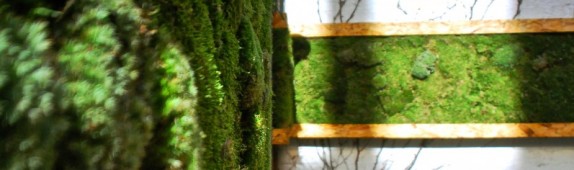 The Google Garden