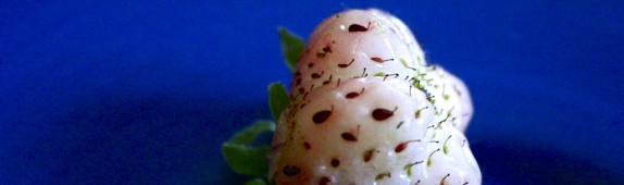 Pineberries
