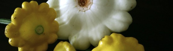 The march of the patty pans